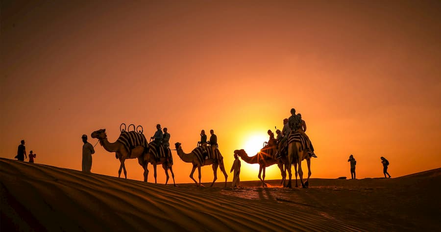 Paseo en Camello por el Desierto de Dubái