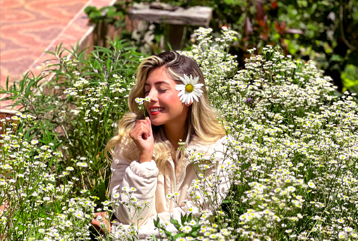 Tour silletas y flores